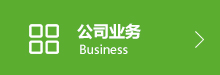 公司业务